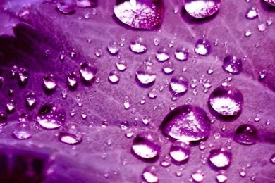 Top 20 Phone Wallpapers