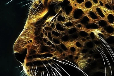 Top 20 Phone Wallpapers