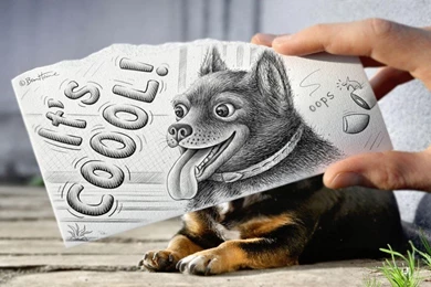 Funny Dog Pictures With Quotes. QuotesGram