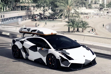 Beach Camouflage Palm Trees Lamborghini Gallardo Wallpapers