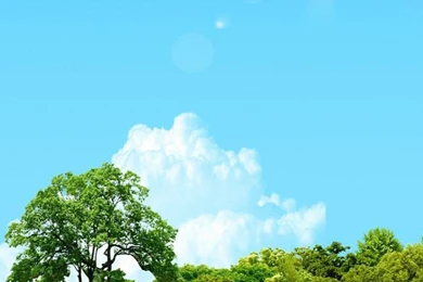 Landscapes Samsung Galaxy S4 S5 Wallpapers HD 1080x1920