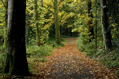 Computer Wave Backgrounds Wallpapers, Desktop Backgrounds ...