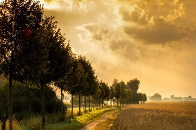 Landscape iPhone 5s Wallpapers