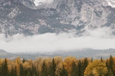 640x1136 Grand Teton Landscape Iphone 5 Wallpapers