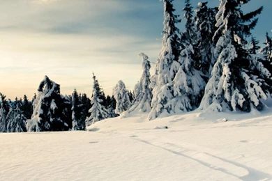 Winter Landscape iPhone 4s Wallpapers Download