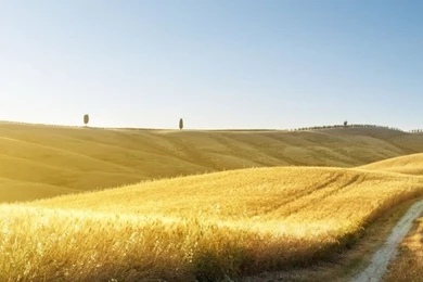 640x1136 Summer Landscape Iphone 5 Wallpapers