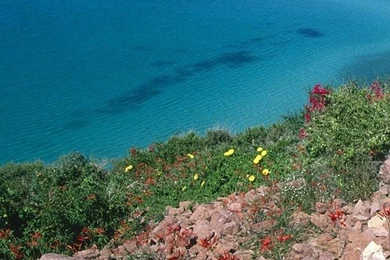 Nature Cell Phone Wallpapers Hd Mobile Wallpapers