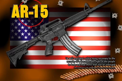 Screen Saver AR15.Com Archive
