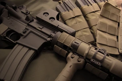 Guns,weapons Guns Weapons Blackhawk Rifles Magpul Eo Tech ...