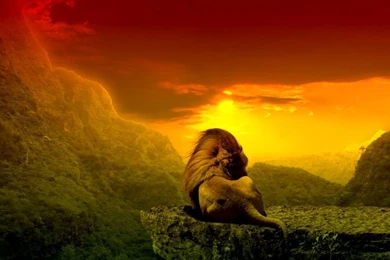 RASTA SUNSHINE Wallpapers By Nestaman.deviantart.com On @deviantART ...