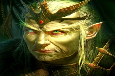 314 Elf HD Wallpapers