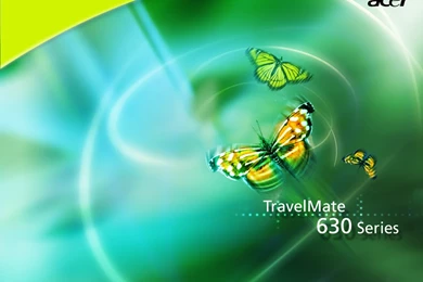 1024x768 Acer Butterfly Desktop PC And Mac Wallpapers