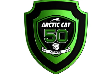 Arcticcat   DeviantArt