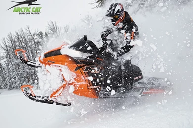Горные снегоходы Arctic Cat