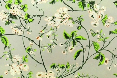 Historical Wallpapers