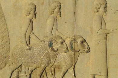 Download Iran Historical Wallpapers 1024x768