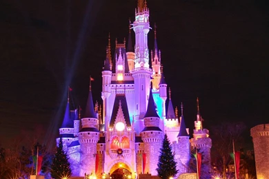Tokyo Disneyland Christmas Fantasy1024*776 No. 5 Desktop Wallpapers ...