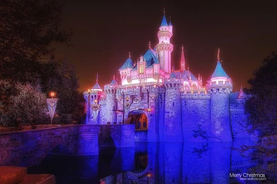 Disneyland Of The Sleeping Beauty Castle Night Des － Holiday ...