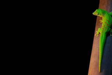 Desktop Wallpapers · Gallery · Windows 7 · Windows 7 Backgrounds ...