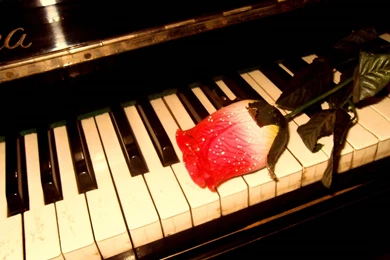 Music Piano 2592×1944 Wallpapers 1674361