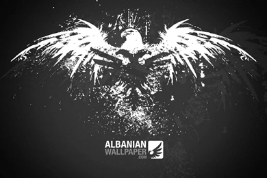 Eagle Splatter With Albanian Eagle