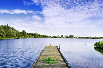 Hd Wallpapers 5 Best Hd Wallpapers Hd Widescreen Desktop PC 1920 X ...