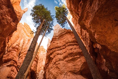 Navajo Loop Bryce Canyon Utah Ultra Hd Wallpapers   Ultra High ...