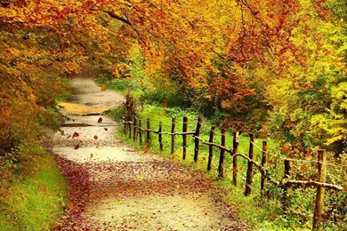 Fall Scenic Pictures   Desktop Backgrounds