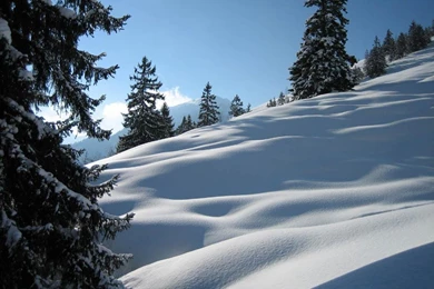 The Scenery On Pinterest