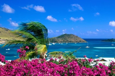 Widescreen Desktop Wallpapers   Wallpapers HD Wide