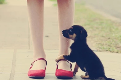 Android Phone Wallpapers Cute – Androidwalls.org