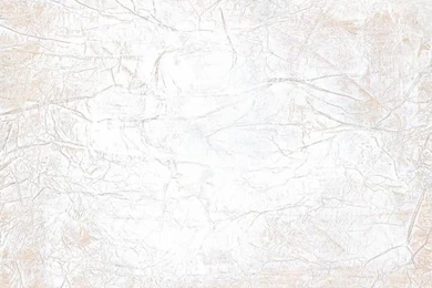 White Wallpapers Texture Hq Backgrounds 15 HD Wallpapers