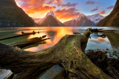 Clouds, New Zealand, Sky, Mountains, Milford Sound, Lake, Trunks ...