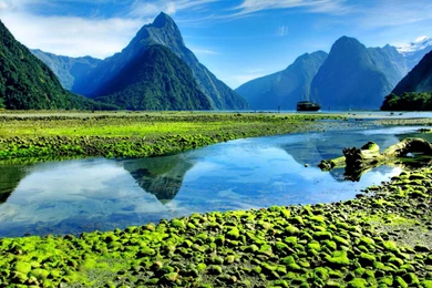 Milford Sound Fiord New Zealand   (