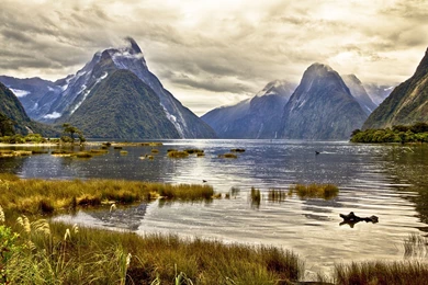 Milford Sound New Zealand Pond Mountain Landscape Wallpapers ...