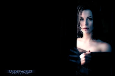 Kate Beckinsale   Kate Beckinsale In Underworld: Evolution ...