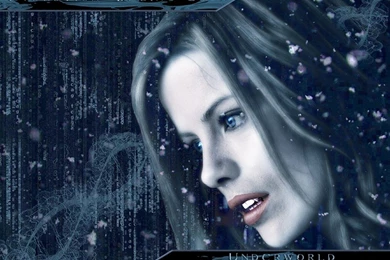 My Free Wallpapers   Movies Wallpapers : Underworld Evolution