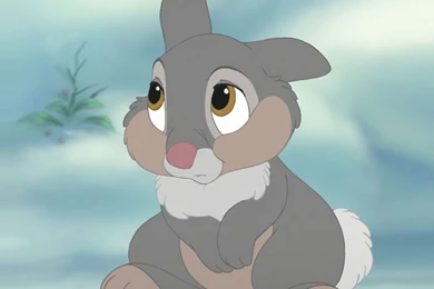 Comical Rabbit Thumper 1920x1080.jpg