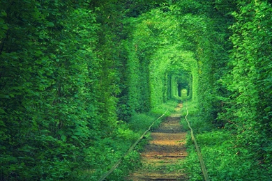 Green Wallpapers Archives   Page 13 Of 21   WideWallpaper.info ...