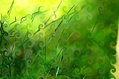 A Place For Free HD Wallpapers