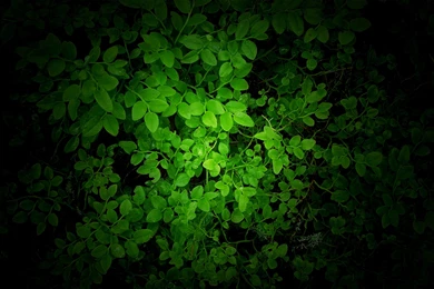 Wallpapers Of The Day: Stunning Mountains