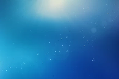 Index Of /wp content/uploads/2013/08/