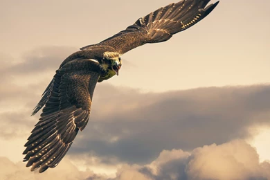 Pět Perfektních Tapet Pro iPad S Retina Displejem S Podporou 3D ...