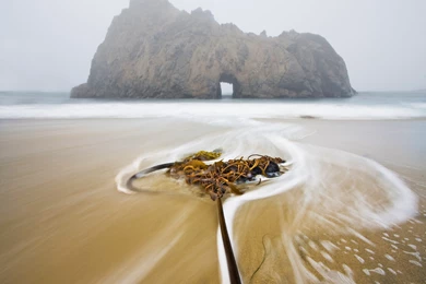 Evanescent Light : Big Sur