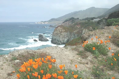 Big Sur Desktop Wallpapers