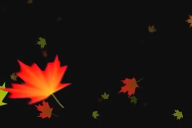 Falling Autumn Leaves Backgrounds Loop 3 YouTube