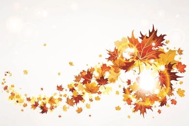 Autumn Leaf Backgrounds Wallpapers Zone