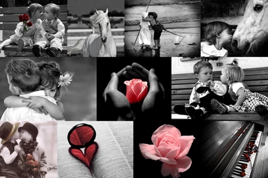 Love   Love Wallpapers (18854650)   Fanpop