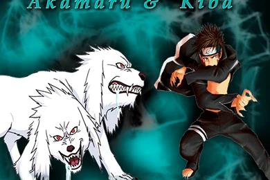 Kiba ♥ ♥ ♥   Kiba Inuzuka Wallpapers (27044606)   Fanpop