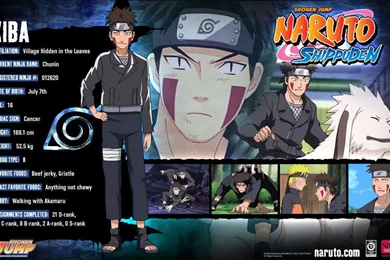 Kiba Inuzuka Wallpapers   Wallpapers Cave